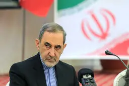 ولایتی: اگر آمریکا می‌خواهد به برجام برگردد، تحریم‌ها را بردارد