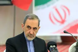 ولایتی: اگر آمریکا می‌خواهد به برجام برگردد، تحریم‌ها را بردارد