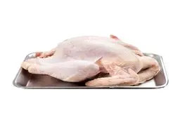 
نرخ مصوب هر کیلو گوشت بوقلمون مشخص شد
