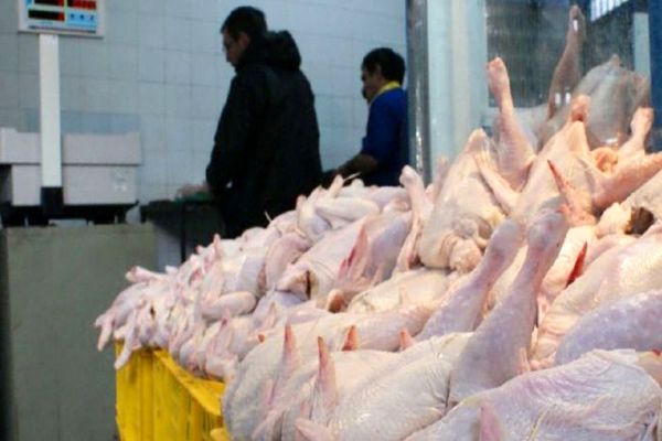  قیمت مصوب مرغ تا فروردین افزایش نمی‌یابد 