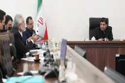هشت اصلاح ضروری و حداقلی در مصوبه مولدسازی