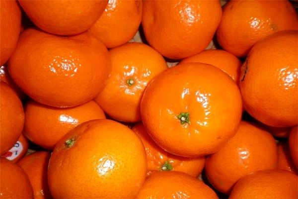 
محدودیت عرضه علت اصلی گرانی نارنگی در بازار
