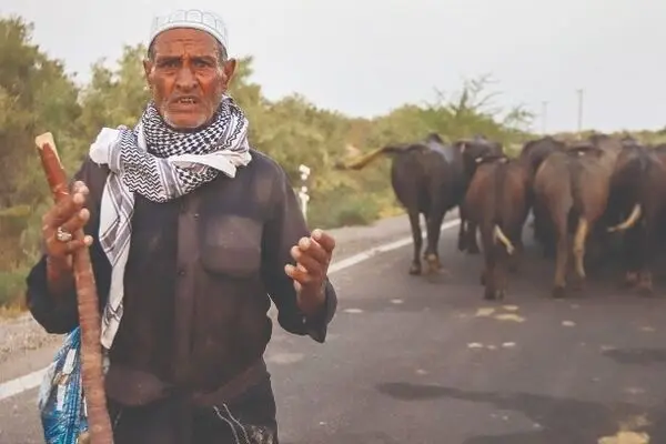 خشکسالی مدیریت