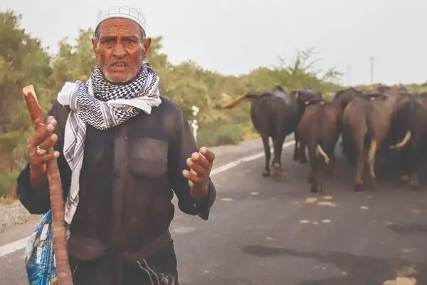 خشکسالی مدیریت