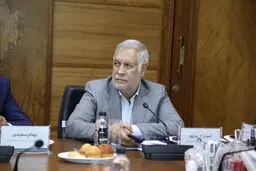 شهباز حسن‌پور: گروه مالی گردشگری با سرمایه‌گذاری در کرمان، الگویی موفق از نقش‌آفرینی بخش خصوصی در توسعه استان است