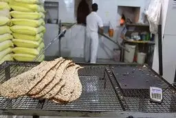 هر ایرانی سالانه ۱۸ کیلو نان دور می‌ریزد