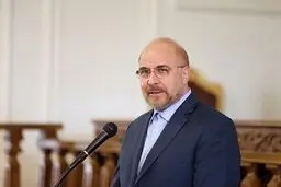 قالیباف: صف‌های خرید مرغ نشان داد مشکل پول نیست بلکه مدیریت است