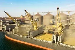 جنگ غلات در دریای سیاه