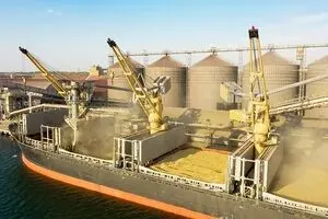 جنگ غلات در دریای سیاه