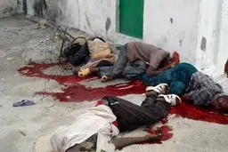 اخبار آرشیوی