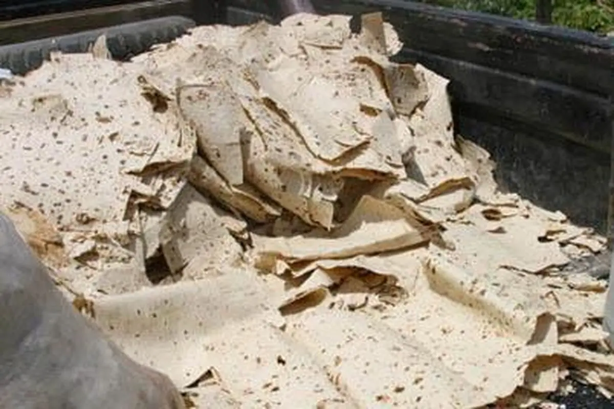 اخبار آرشیوی