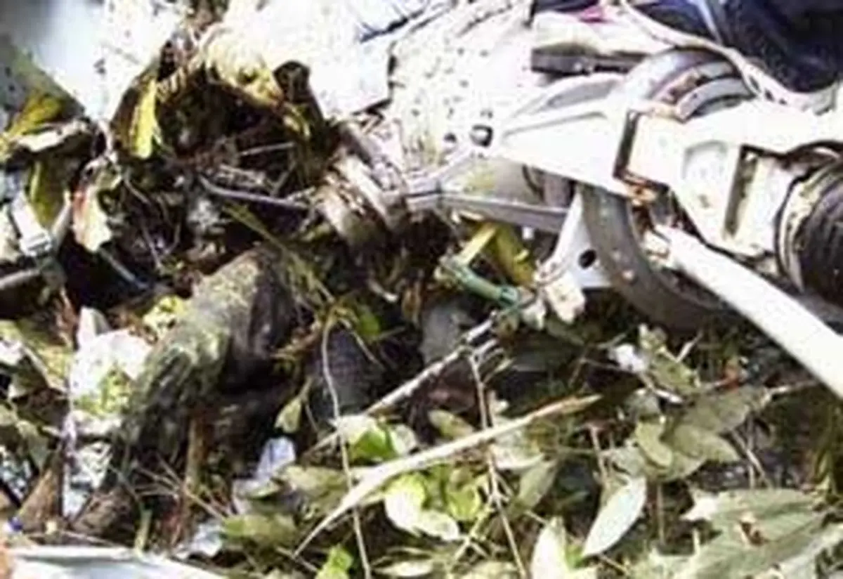 اخبار آرشیوی