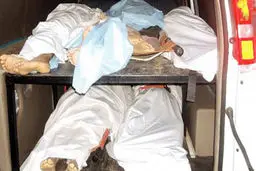 اخبار آرشیوی