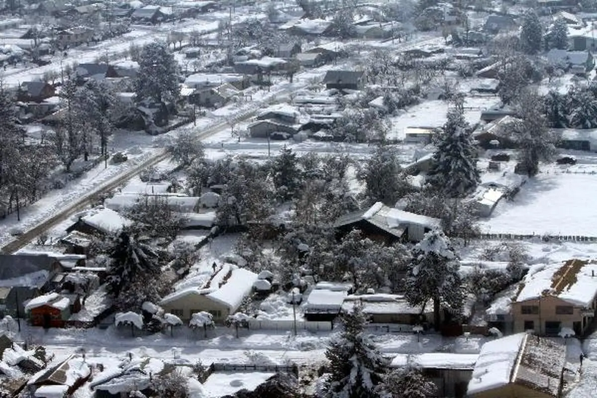 اخبار آرشیوی