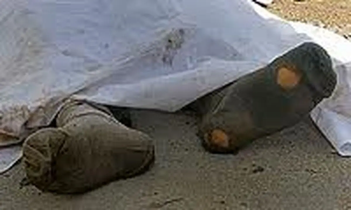 اخبار آرشیوی