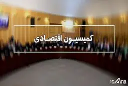 کمیسیون اقتصادی عدم ترخیص کالاهای اساسی را بررسی می‌کند
