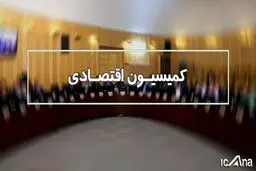کمیسیون اقتصادی عدم ترخیص کالاهای اساسی را بررسی می‌کند