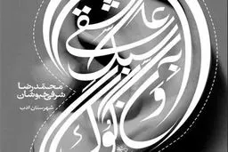 عاشقی به سبک ونگوگ؛ کتابی برای نقد روشنفکری