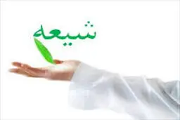 آیا شیعیان حتی اگر گنهکار باشند جهنم را نخواهند دید؟!