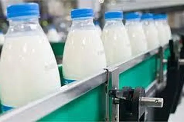 صنعت لبنیات حق دامدار را نپردازد، تولید شیرخام متوقف می‌شود!