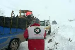 سگ‌های زنده‌یاب به دنبال حادثه دیدگان بهمن جاده چالوس