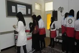 دبیر و اعضای ستاد مرکزی اجرایی انتخابات هلال‌احمر منصوب شدند