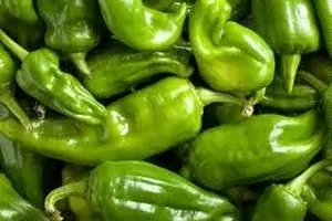 بادمجان و کدو ۳۰ درصد گران شد/ عده‌ای پیاز را دپو کرده‌اند تا گران شود