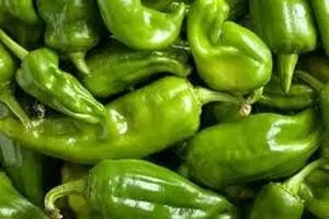 بادمجان و کدو ۳۰ درصد گران شد/ عده‌ای پیاز را دپو کرده‌اند تا گران شود