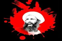 وزارت خارجه پیگیر برخورد سخت با جنایتکاران سعودی باشد
