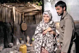 نمایش 