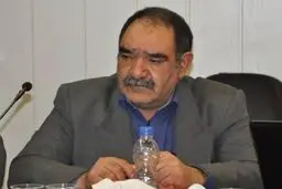 معاون حجتی: دلال‌ها زعفران را گران کردند/ دفن خرما صحت ندارد