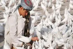 افغانستان، پاکستان، چین و آمریکا روز دوشنبه در اسلام آباد احیای مذاکرات صلح افغانستان را بررسی می‌کنند/ اسپوتنیک