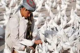 افغانستان، پاکستان، چین و آمریکا روز دوشنبه در اسلام آباد احیای مذاکرات صلح افغانستان را بررسی می‌کنند/ اسپوتنیک