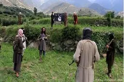 ‫۲۰ داعشی در حمله پهپادی آمریکا در ننگرهار افغانستان کشته شدند/ اکسپرس تریبون‬‎