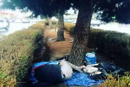 مرگ یک معتاد کارتن‌خواب در خیابان ستارخان تهران