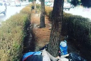 مرگ یک معتاد کارتن‌خواب در خیابان ستارخان تهران