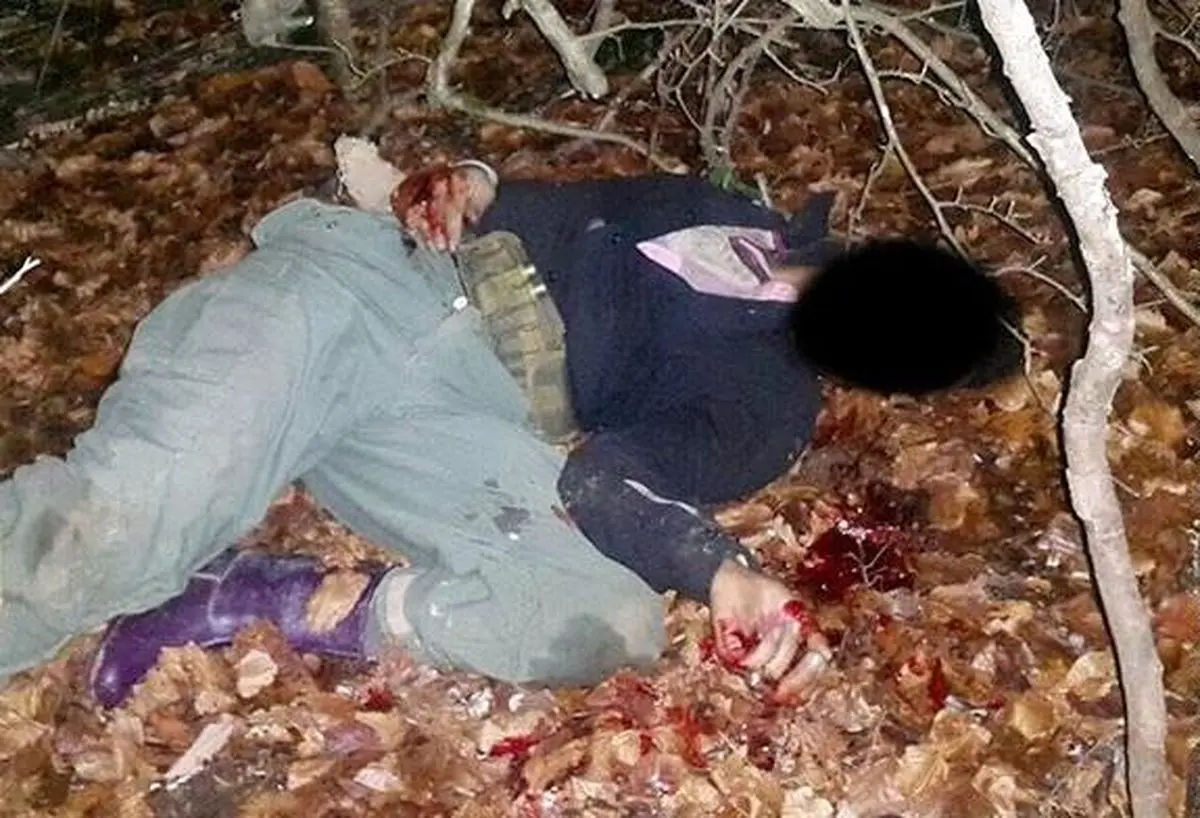 یک شکارچی غیرمجاز حین شکار گراز در مازندران توسط شکارچی دیگری اشتباها به قتل رسید