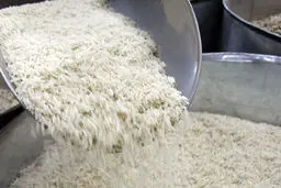 برنج کیلویی ۱۵ هزارتومان خودسرانه است/ برنج در خرده فروشی‌های گیلان  بیشتر از ۸۰۰۰ تومان نیست