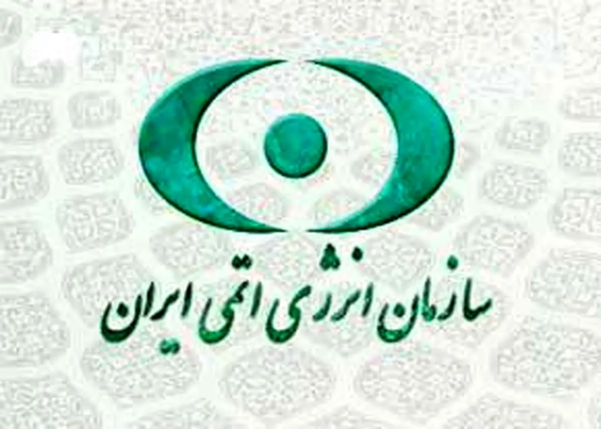 دولت بودجه سازمان انرژی اتمی را بیش از ۵ برابر افزایش داد