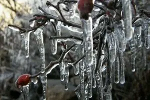 ارتفاعات شمال تهران