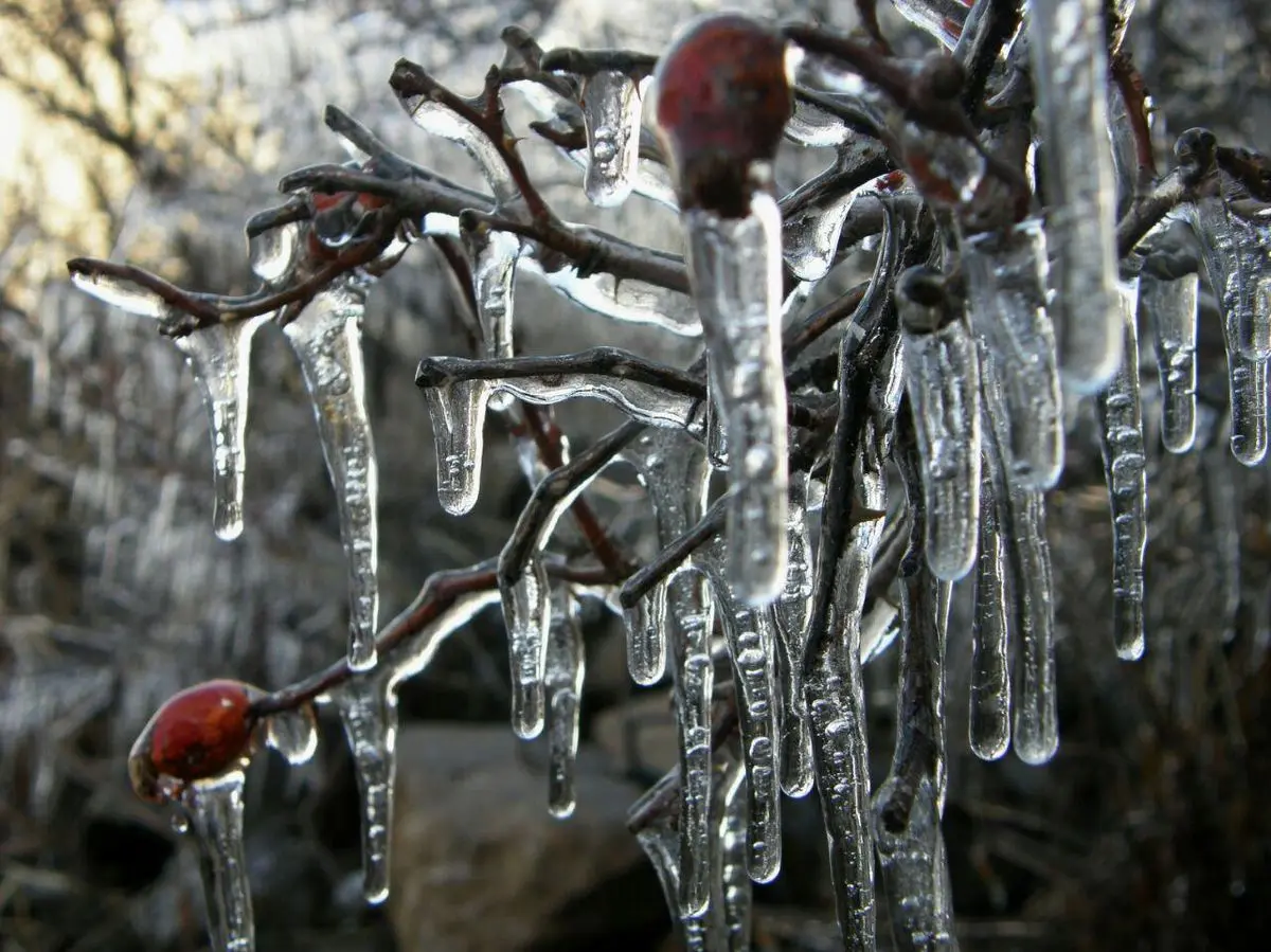 ارتفاعات شمال تهران