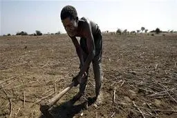 سازمان ملل : میلیون‌ها نفر در جنوب آفریقا در معرض قحطی هستند