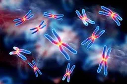 مشاوره ژنتیک برای زوج‌های جوان در هنگام ازدواج