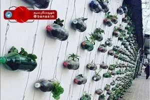 دیوار سبز تالش