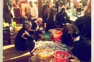 جداسازی ماهی توسط ماهیگیران پس از صید