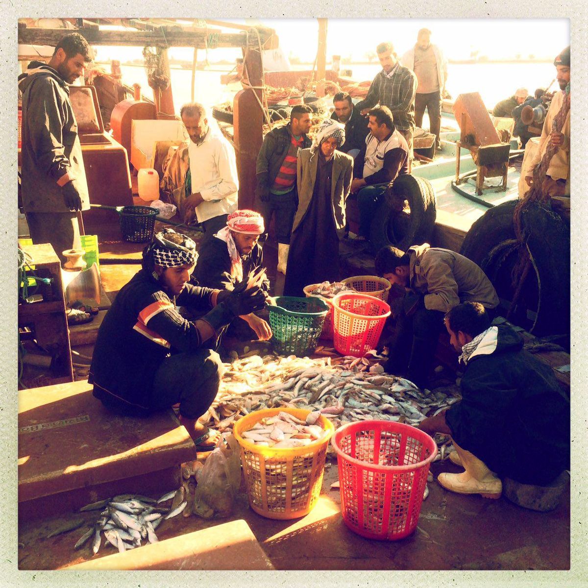 جداسازی ماهی توسط ماهیگیران پس از صید