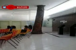 درخت وسط سالن انتظار بیمارستان رازی