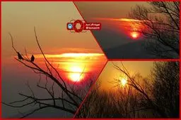 تصاویر زیبایی از غروب خورشید
