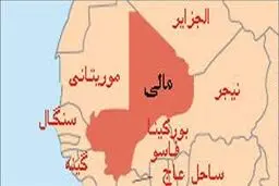 ایران از برگزاری دوازدهمین اجلاس پارلمان‌های کشورهای اسلامی در مالی حمایت خواهد کرد