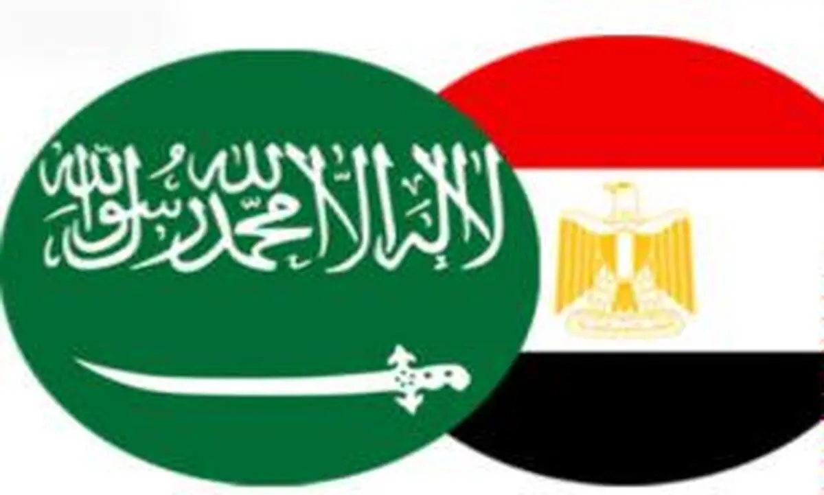 دیدار وزرای خارجه عربستان و مصر در ابوظبی